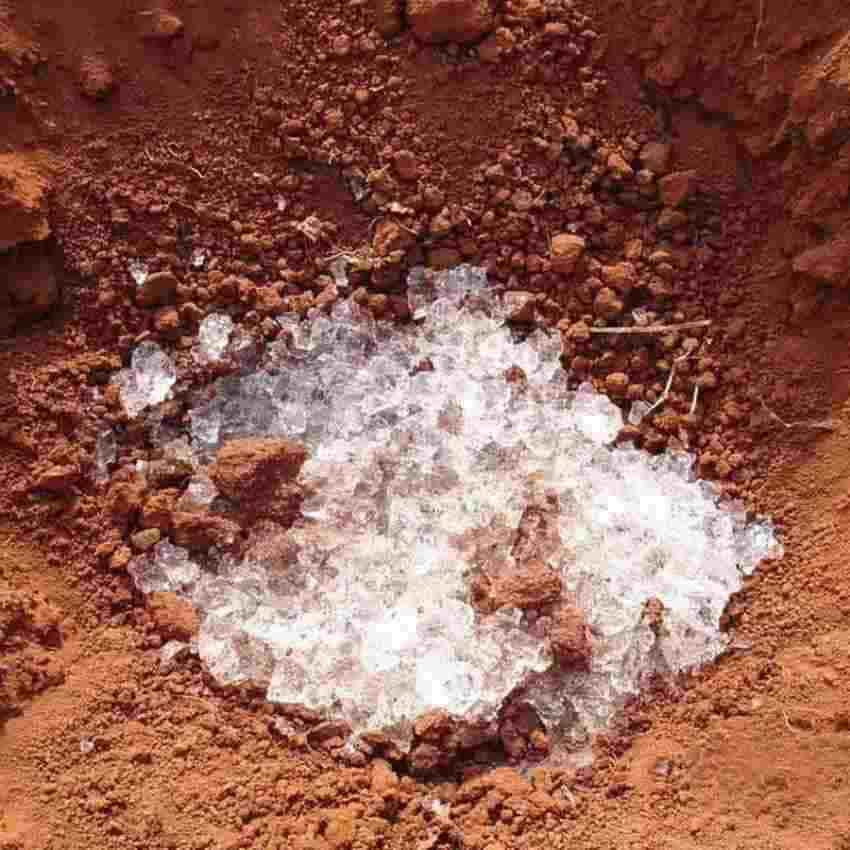 تصویر 2 از خرید هیدوژل طبیعی کشاورزی + قیمت فروش استثنایی